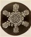 BENTLEY, WILSON A. (1865-1931) A select group of 4 photographs, comprising 2 frost studies and 2 early snow crystals.